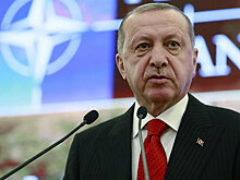 Аль-Мисмари: Эрдоган вербует арабских сынов, чтобы убивать арабов (Al Arabiya, ОАЭ)