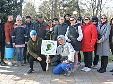 Можжевеловая аллея и липовый сад появились в Выселковском парке