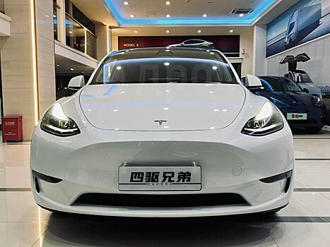 В Новосибирске продают китайский электромобиль Tesla за 5,5 млн рублей