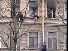 Дворнику, спасшему людей при пожаре в Петербурге, вручили картину