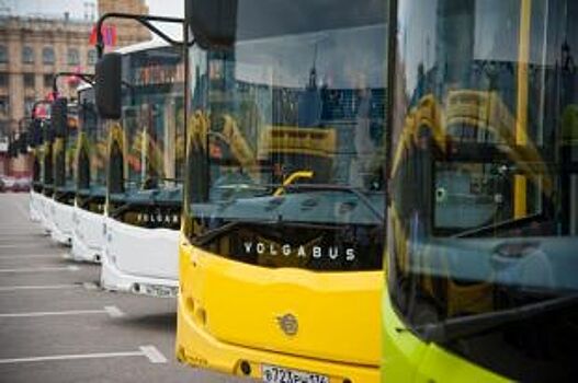 В день выборов в Курске пустят дополнительные автобусы