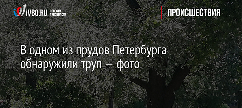 В одном из прудов Петербурга обнаружили труп — фото