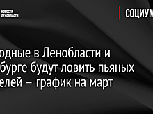 В выходные в Ленобласти и Петербурге будут ловить пьяных водителей – график на март