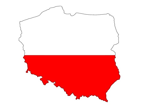 Польский диктант написали зюзинские школьники