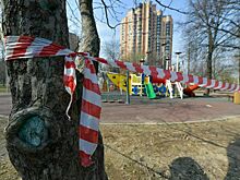 В Петербурге дополнительно к QR-кодам вводят частичный локдаун
