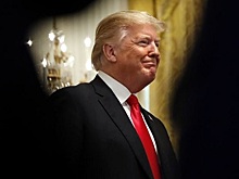 Какие шансы у Трампа спасти выборы в Верховном суде