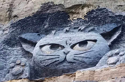 В Подмосковье на отвесной стене карьера заметили «грозного кота»