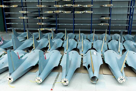 В Чехии захотели «выскочить из брюссельского поезда»