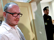 Кашин предложил посадить промоутеров ММА