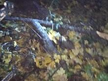 В Обояни Курской области неизвестные крадут металл с могил на кладбище