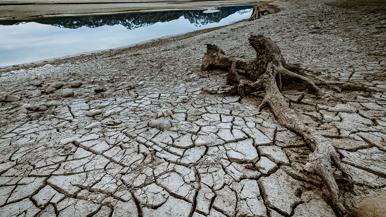 Politico: Еврокомиссия опасается конфликта в ЕС из-за дефицита воды