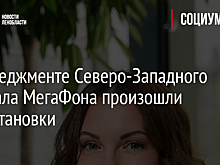 В менеджменте Северо-Западного филиала МегаФона произошли перестановки