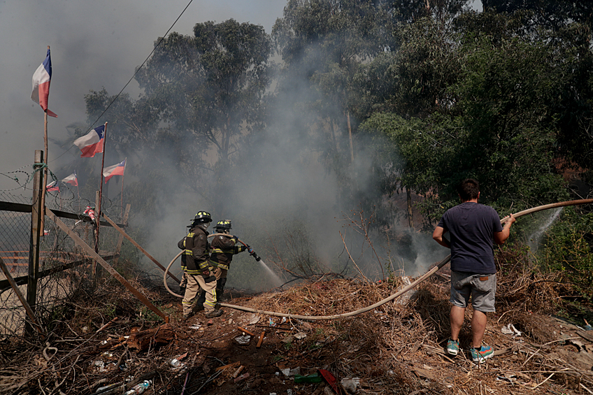 Последствия лесных пожаров в Чили 