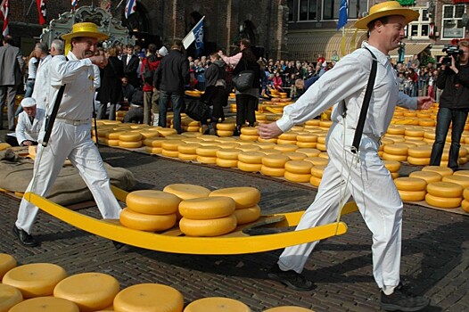 В Костроме впервые пройдет фестиваль сыра