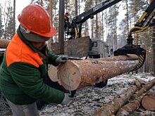 На Вологодчине будут производить плиты для деревянного домостроения