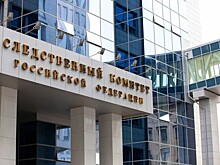 Экстрадированный из Испании фигурант дела о мошенничестве признал вину