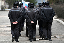 В МВД рассказали, кто чаще всего совершает преступления в России