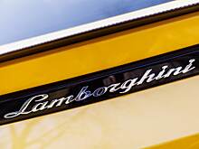 В российском городе нашли сгоревший Lamborghini за 25 миллионов рублей