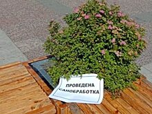 В Пензе скамейки и остановочные павильоны обработали хлором