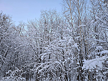 На Москву обрушится снежный шторм