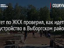 Комитет по ЖКХ проверил, как идет благоустройство в Выборгском районе