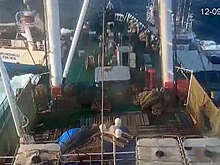 Профсоюз моряков: столкновение судов близ Мавритании произошло 12 сентября