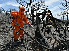 СК возбудил уголовное дело о халатности из-за пожара в Новороссийске