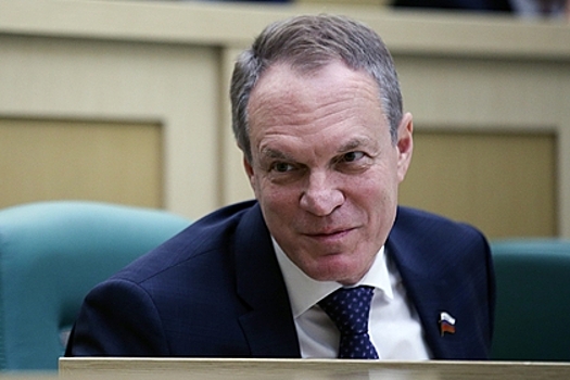 Сенатор назвал цели западной кампании по дискредитации выборов в России