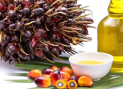 Пальмовое масло: пищепрому ЕАЭС нужно готовиться к ужесточению требований