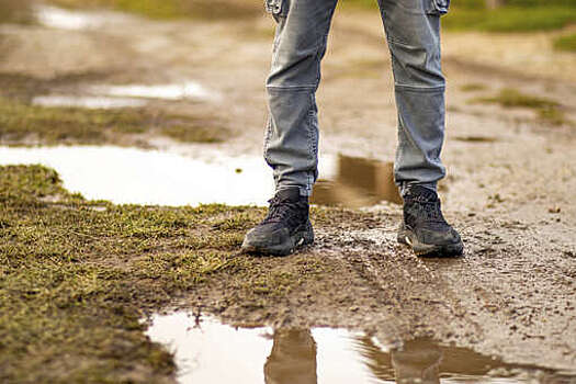 CurAnthrop: ходьба на двух ногах подарила людям способность к языкам и музыке