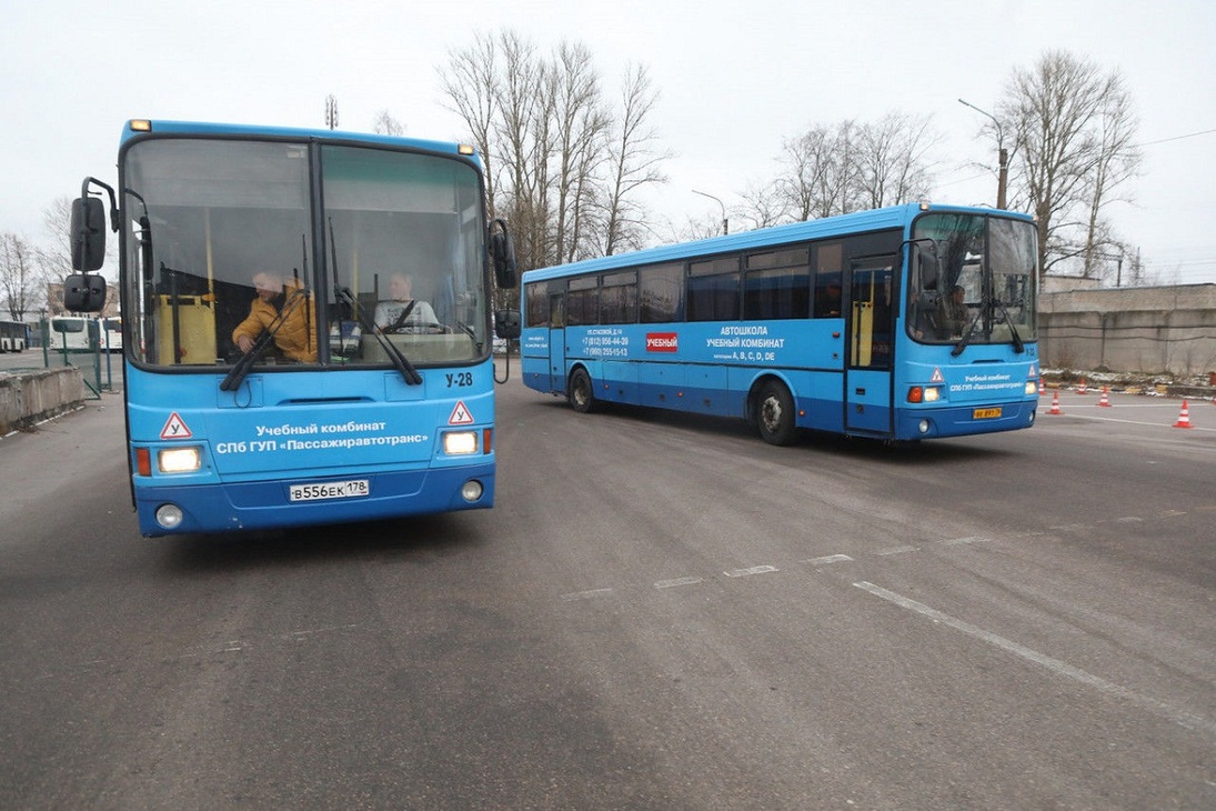 509 автобус маршрут. Автобус 29 СПБ