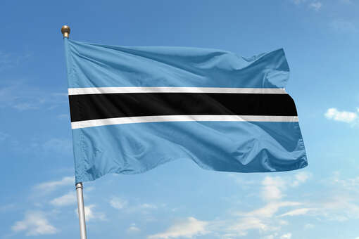 Ботсвана заявила о планах сотрудничать с РФ в добыче редкоземельных металлов