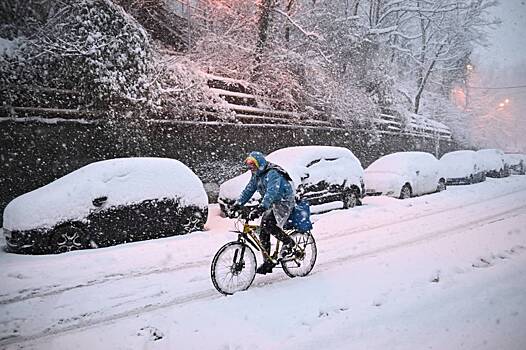 Самая дорогая парковка России оказалась не в Москве