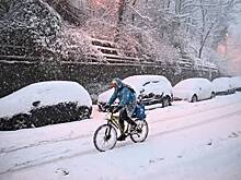 Самая дорогая парковка России оказалась не в Москве