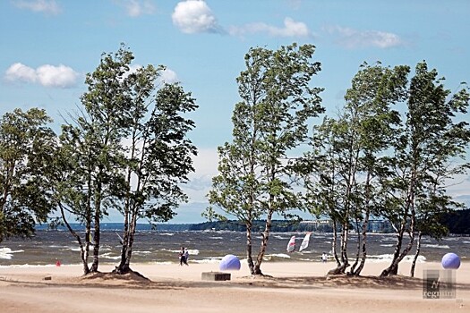 Пляжи и санатории Петербурга могут остаться без автобусов