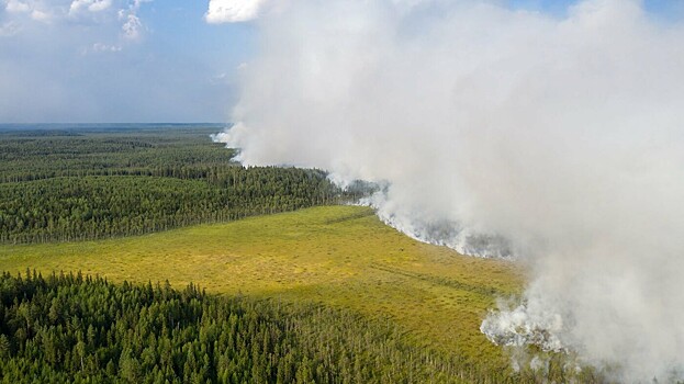Дополнительные силы направят на тушение пожаров в Карелии и Якутии
