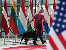 Названы последствия конфронтации Трампа с ЕС