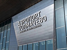 Иностранцу дали семь лет колонии за взятку таможеннику в новосибирском аэропорту