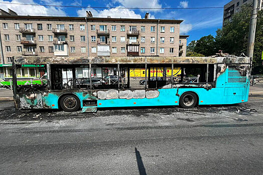 «Волгабас» отзывает свои автобусы в Петербурге