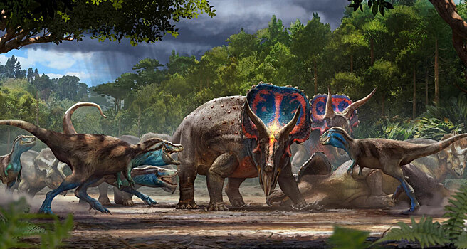 Окаменелые останки "Дуэли Динозавров" впервые покажут на публике: поединок колоссов