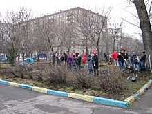Общественный советник поможет привести в порядок газоны и клумбы возле своего дома