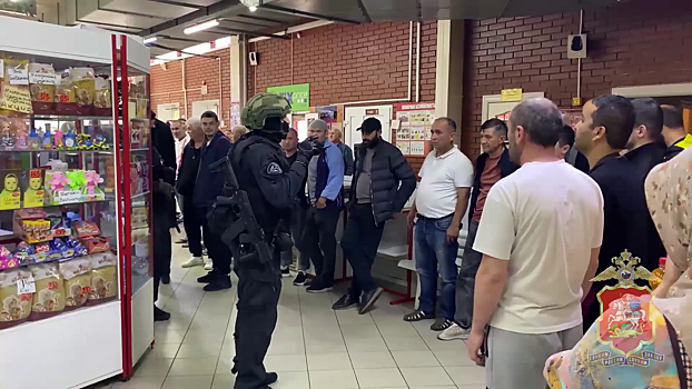 В Подмосковье на станции Фрязево и в Электростали в ходе рейда выявлены 15 нелегальных мигрантов