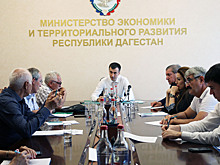 Дагестанцев будут лечить травами