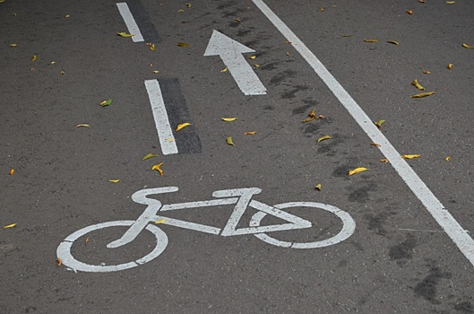 Велосипедные дорожки представили в «Коломенском»