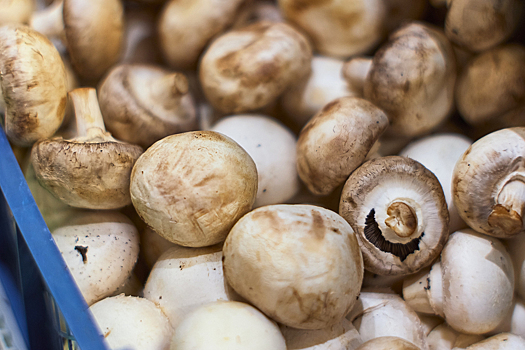 Как правильно готовить грибы: важные правила