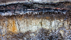 От разрушения домов до новой пандемии: чем грозит таяние вечной мерзлоты