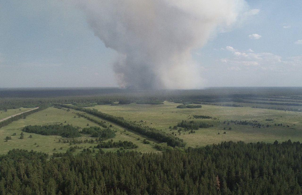 В Алтайском крае тушат лесной пожар на площади в 1200 гектаров
