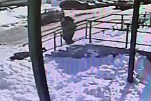 Снег с крыши рухнул на пятимесячного ребенка в российском городе