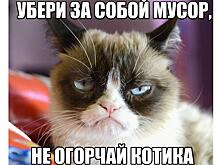 В Вологде стартовал новый социальный проект «Экомемы в городе»