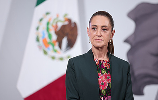 AP: мужчина пытался поцеловать президента Мексики во время ее встречи с жителями